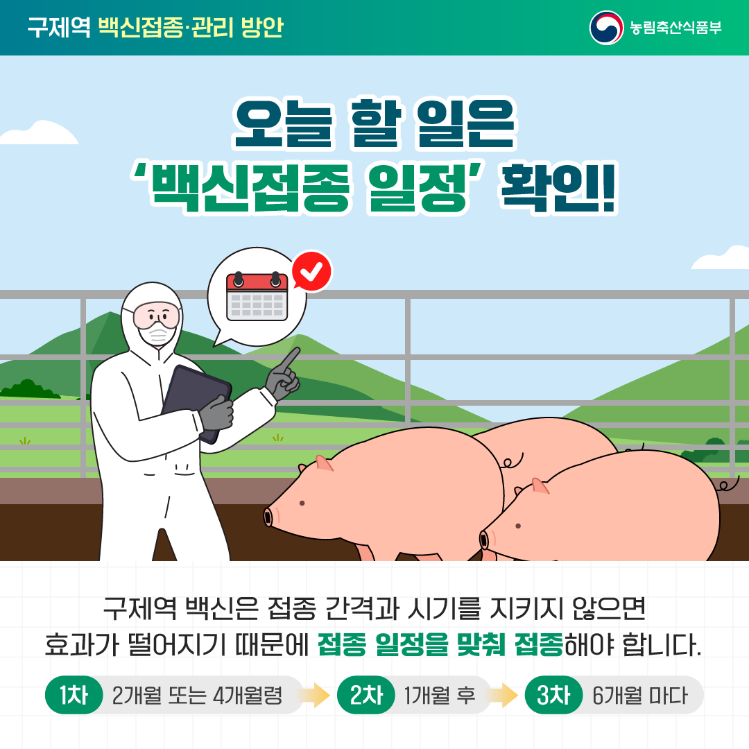 오늘 할 일은 백신접종 일정 확인! 구제역 백신은 접종 간격과 시기를 지키지 않으면 효과가 떨어지기 때문에 접종 일정을 맞춰 접종해야 합니다. 1차 2개월 또는 4개월령 2차 1개월 후 3차 6개월 마다