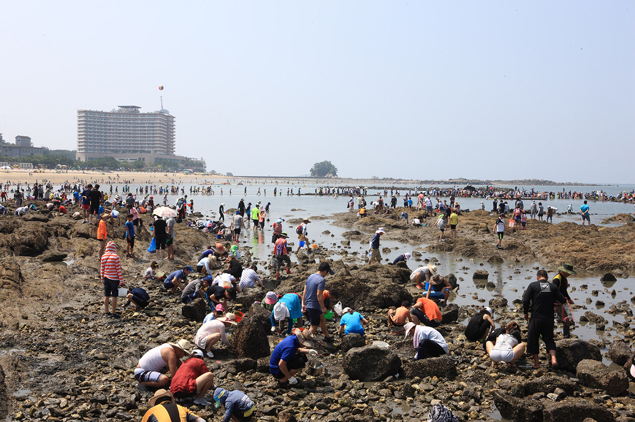 무창포 바닷길축제 사진