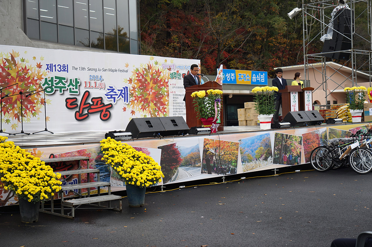 단풍축제 사진