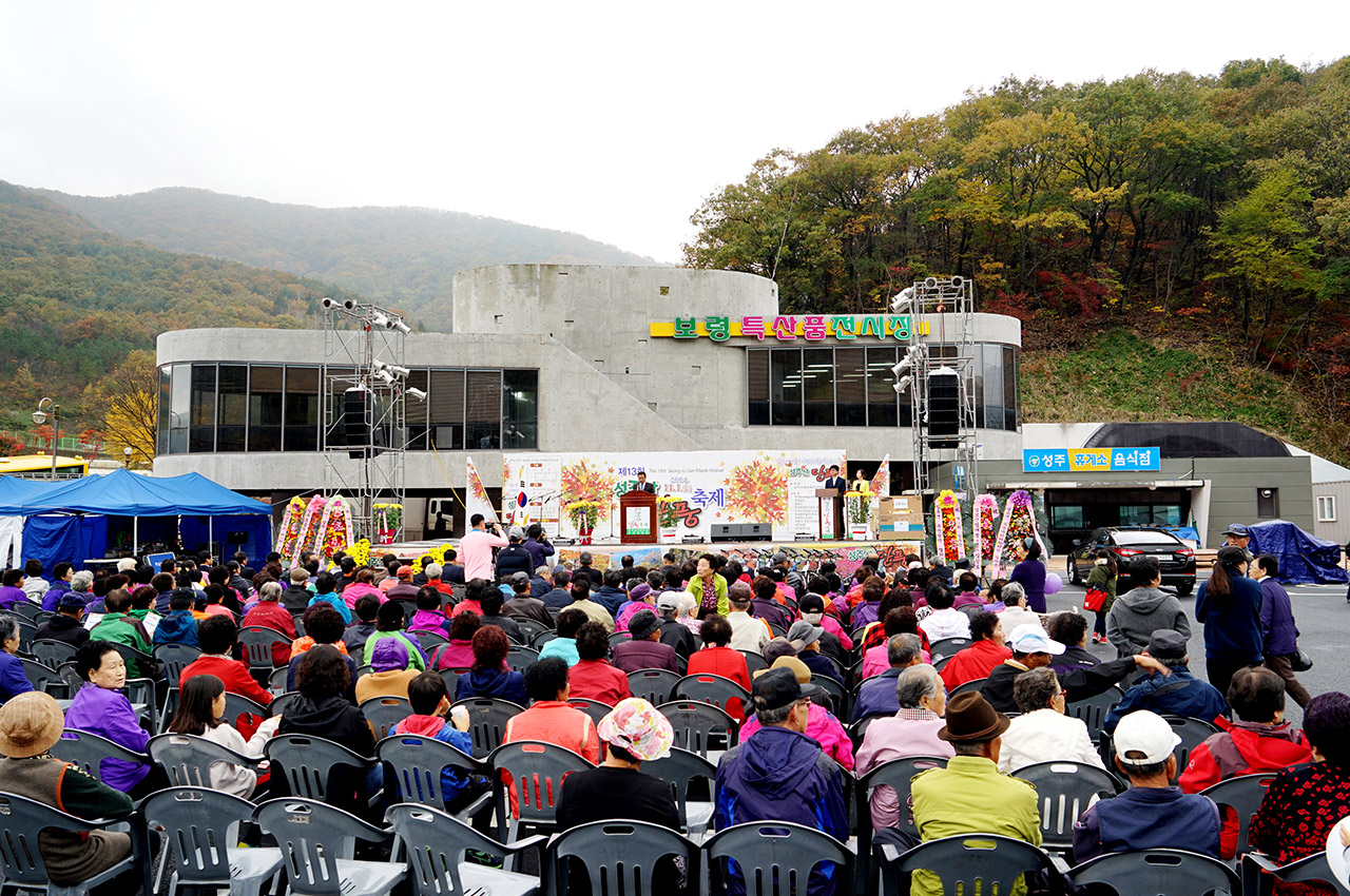 단풍축제 사진