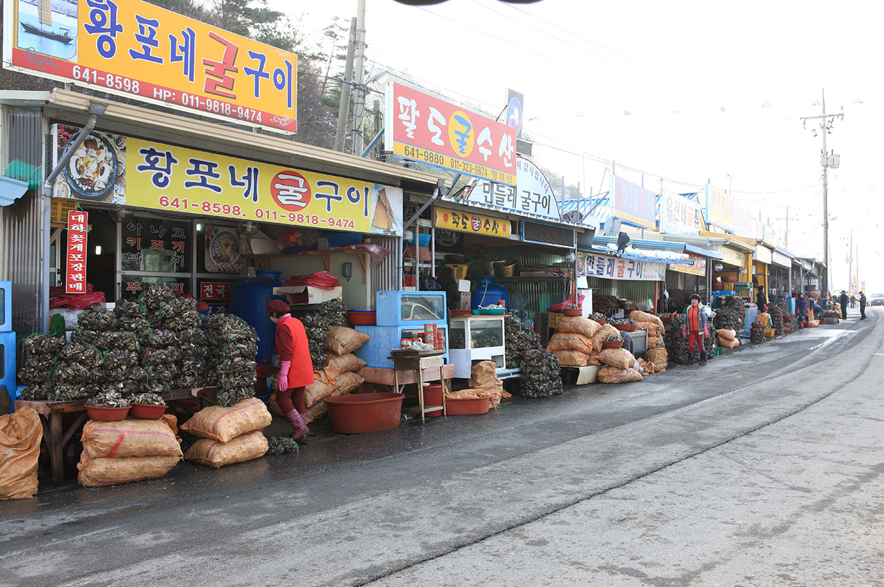 천북굴축제 사진