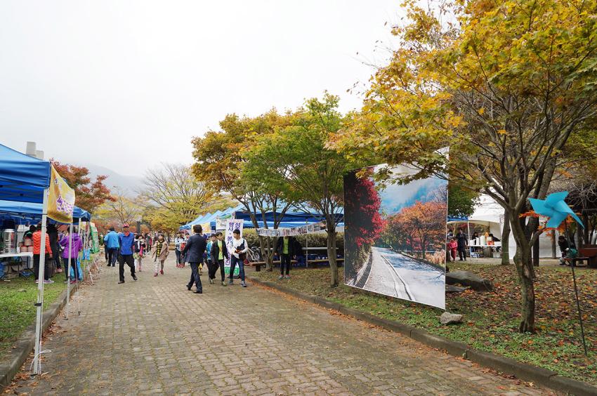 성주산단풍축제